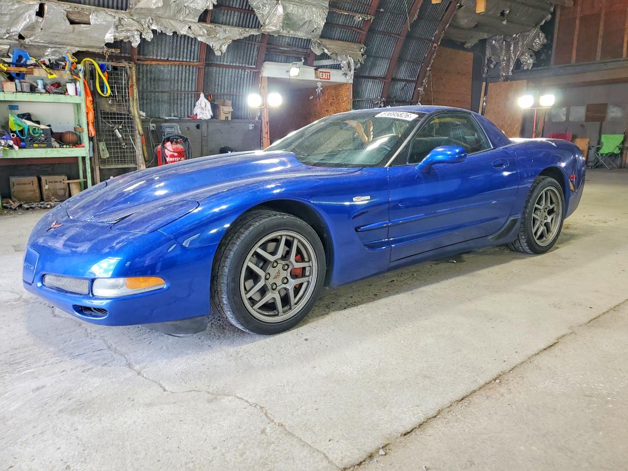 2002 Chevrolet Corvette Z06, VIN 1G1YY12S225120364 — Roof