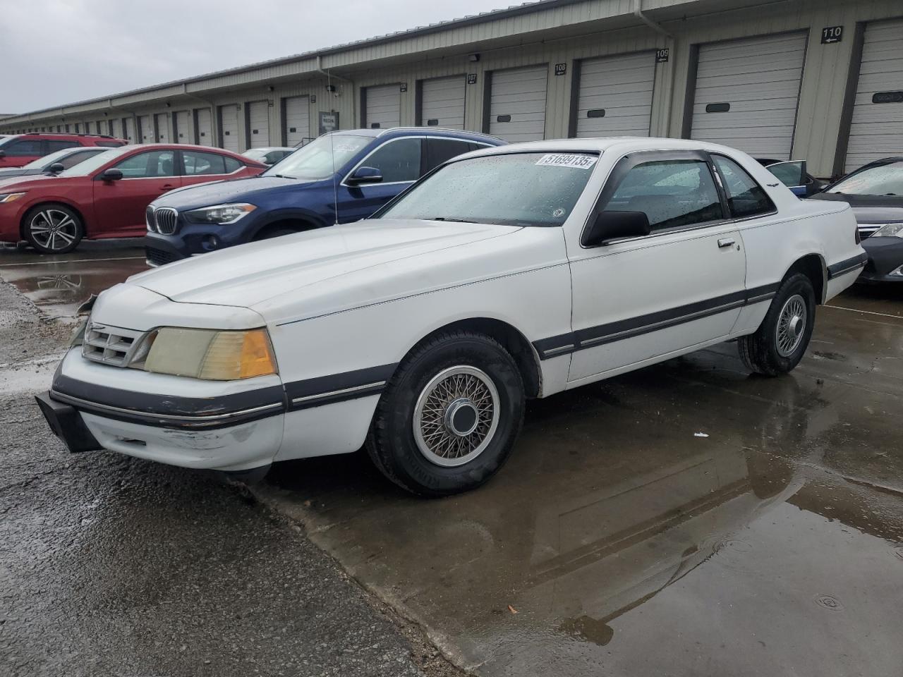 1987 Ford Thunderbird, VIN 1FABP6033HH186394 — Front end