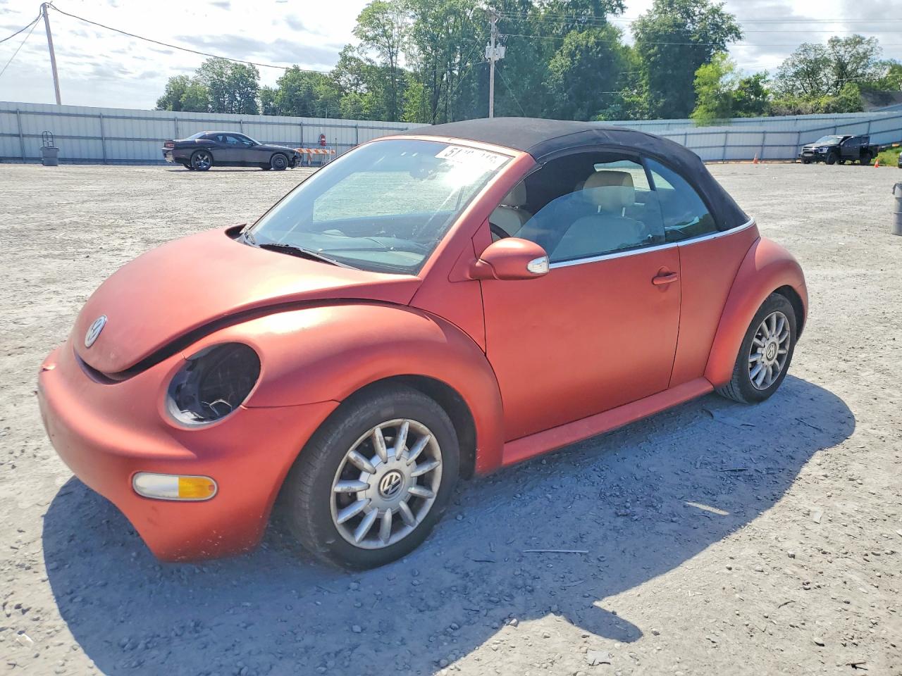 2004 Volkswagen Beetle GLS, VIN 3VWCM31Y04M312794 — Перед