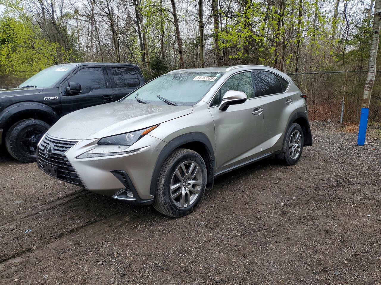 2020 Lexus NX 300, VIN JTJGARDZ3L2220974 — Rear end