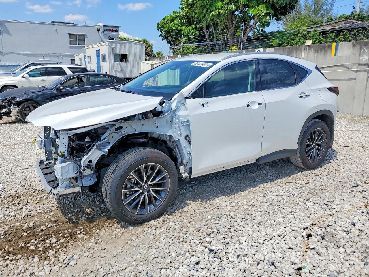 2025 Lexus NX 250, VIN 2T2ADCAZ0SC028005 — Front end