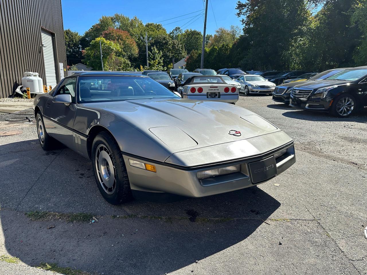 1984 Chevrolet Corvette, VIN 1G1AY0780E5147284 — Normal wear