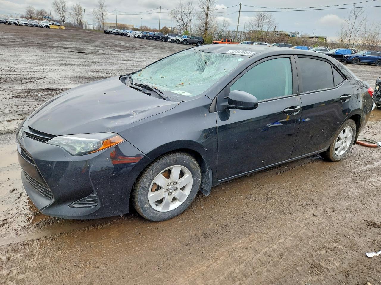 2016 Toyota Corolla LE, VIN 2T1BURHE6GC499050 — Front end