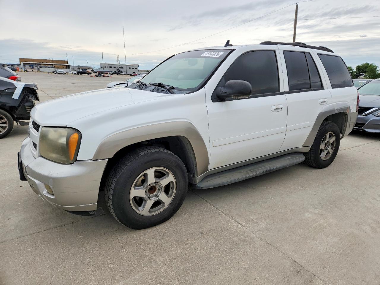 2007 Chevrolet TrailBlazer LS, VIN 1GNDS13S972291960 — Hail