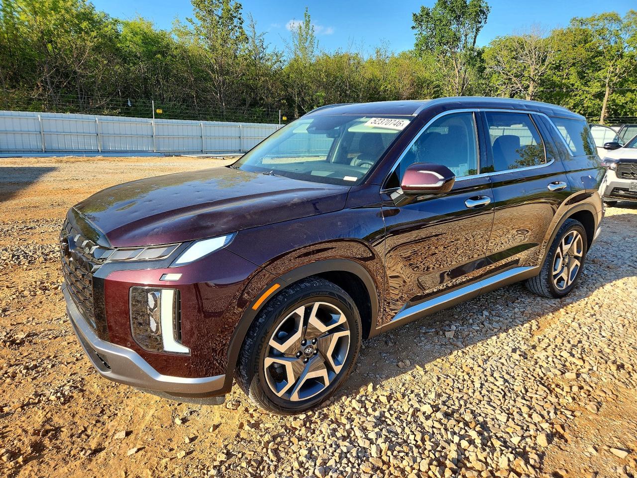 2024 Hyundai Palisade Limited, VIN KM8R54GE1RU688917 — Hail