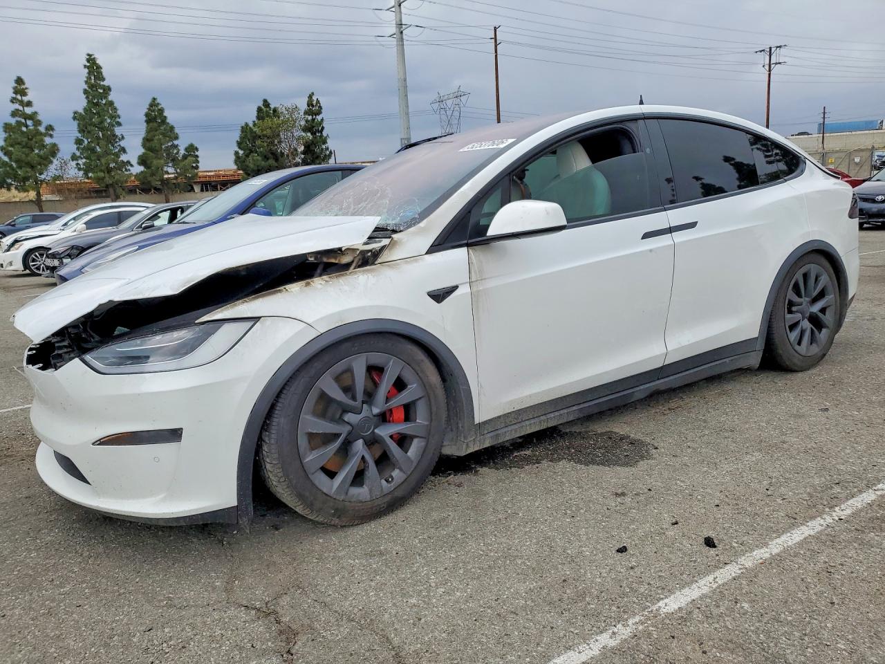 2022 Tesla Model X Plaid, VIN 7SAXCBE66NF344006 — Burn