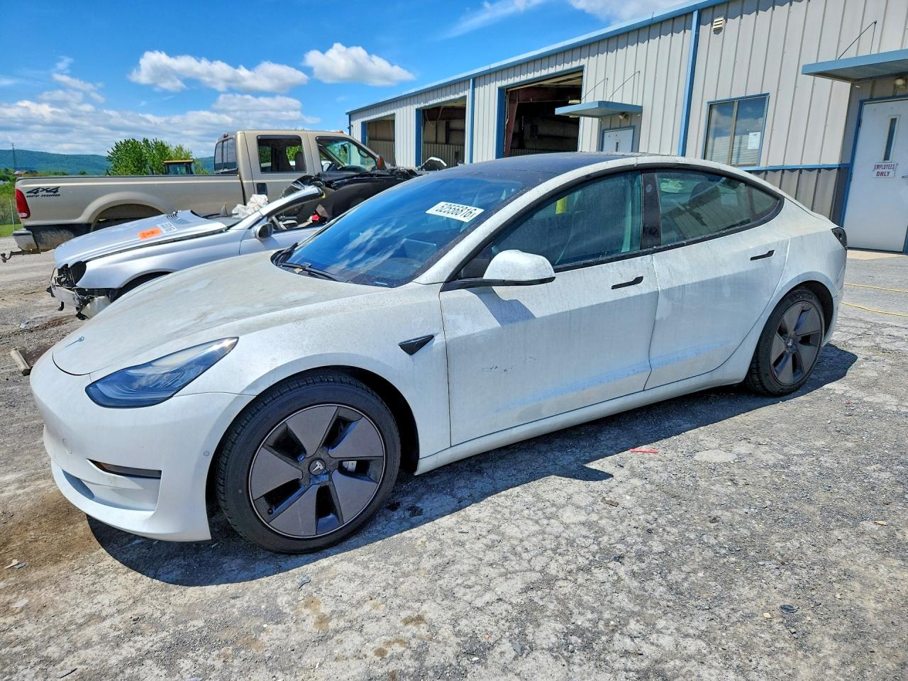 2021 Tesla Model 3 Standard Range Plus, VIN 5YJ3E1EA3MF857894 — Burn