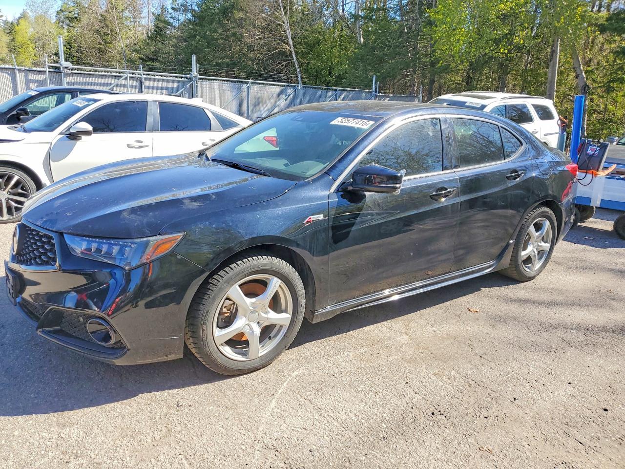 2020 Acura TLX w/A-Spec Pkg, VIN 19UUB3F67LA801422 — Vandalism