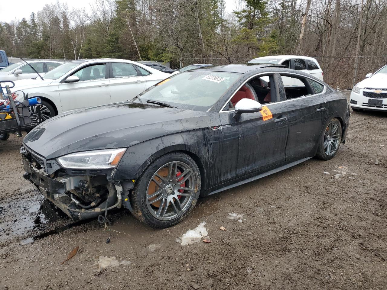 2018 Audi S5 Sportback Prestige, VIN WAUC4CF50JA136708 — Water / flood
