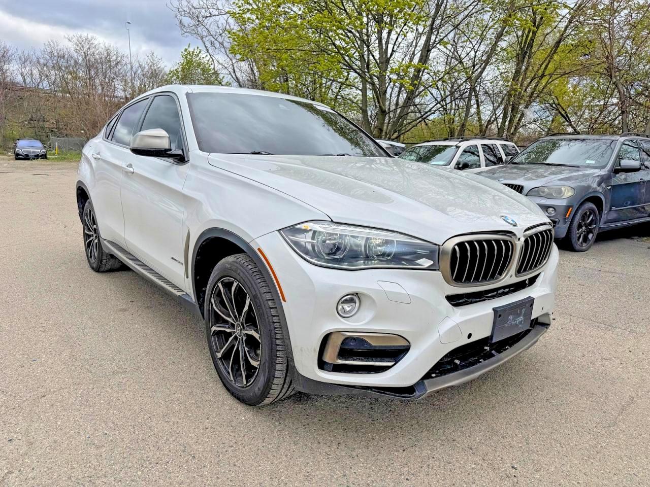 2017 BMW X6 xDrive50i, VIN 5UXKU6C37H0W38407 — Minor dents and scratches