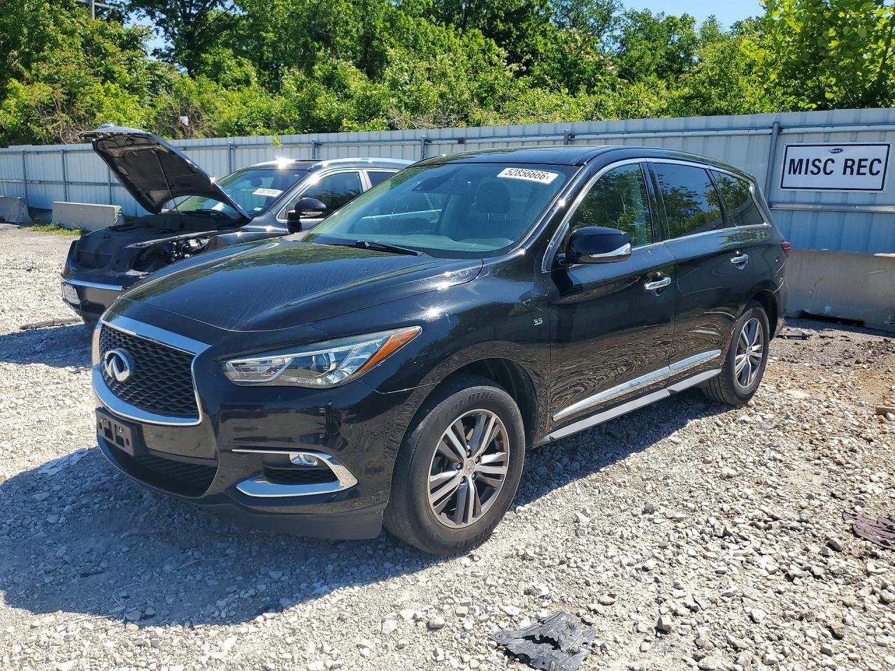 2020 Infiniti QX60 Luxe, VIN 5N1DL0MN0LC527047 — Hail