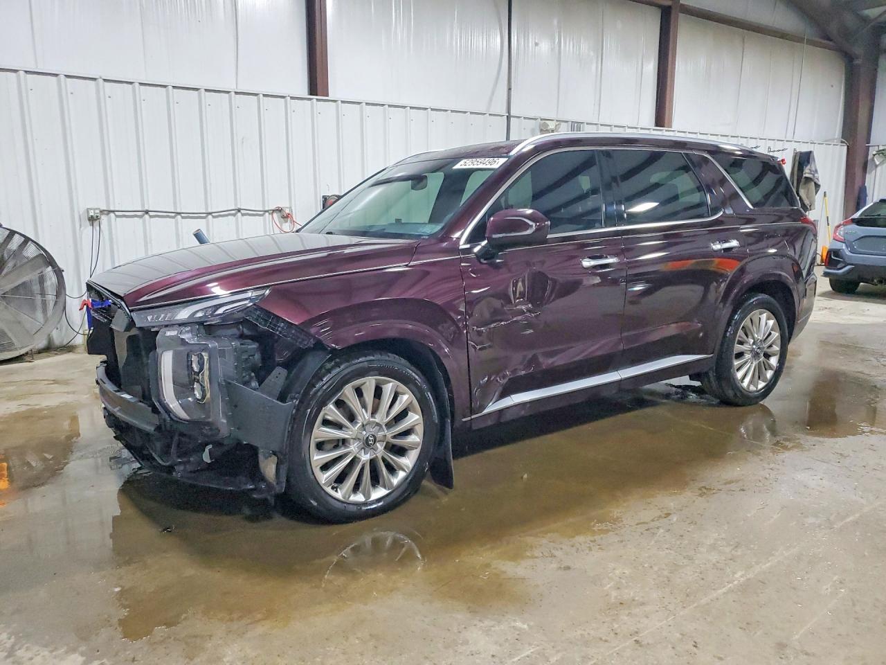 2020 Hyundai Palisade Limited, VIN KM8R5DHE4LU151402 — Side