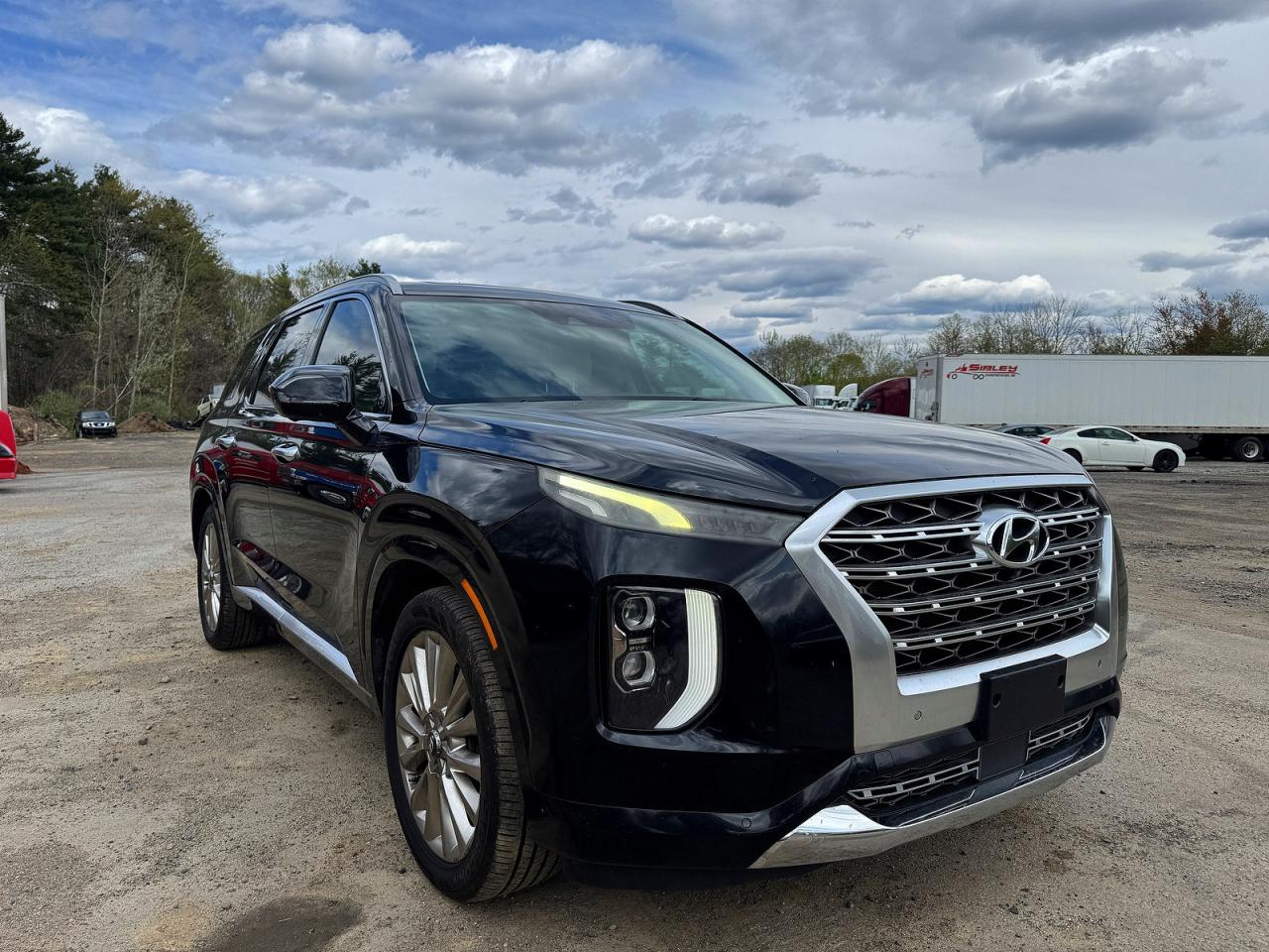 2020 Hyundai Palisade Limited, VIN KM8R54HE6LU073642 — Normal wear