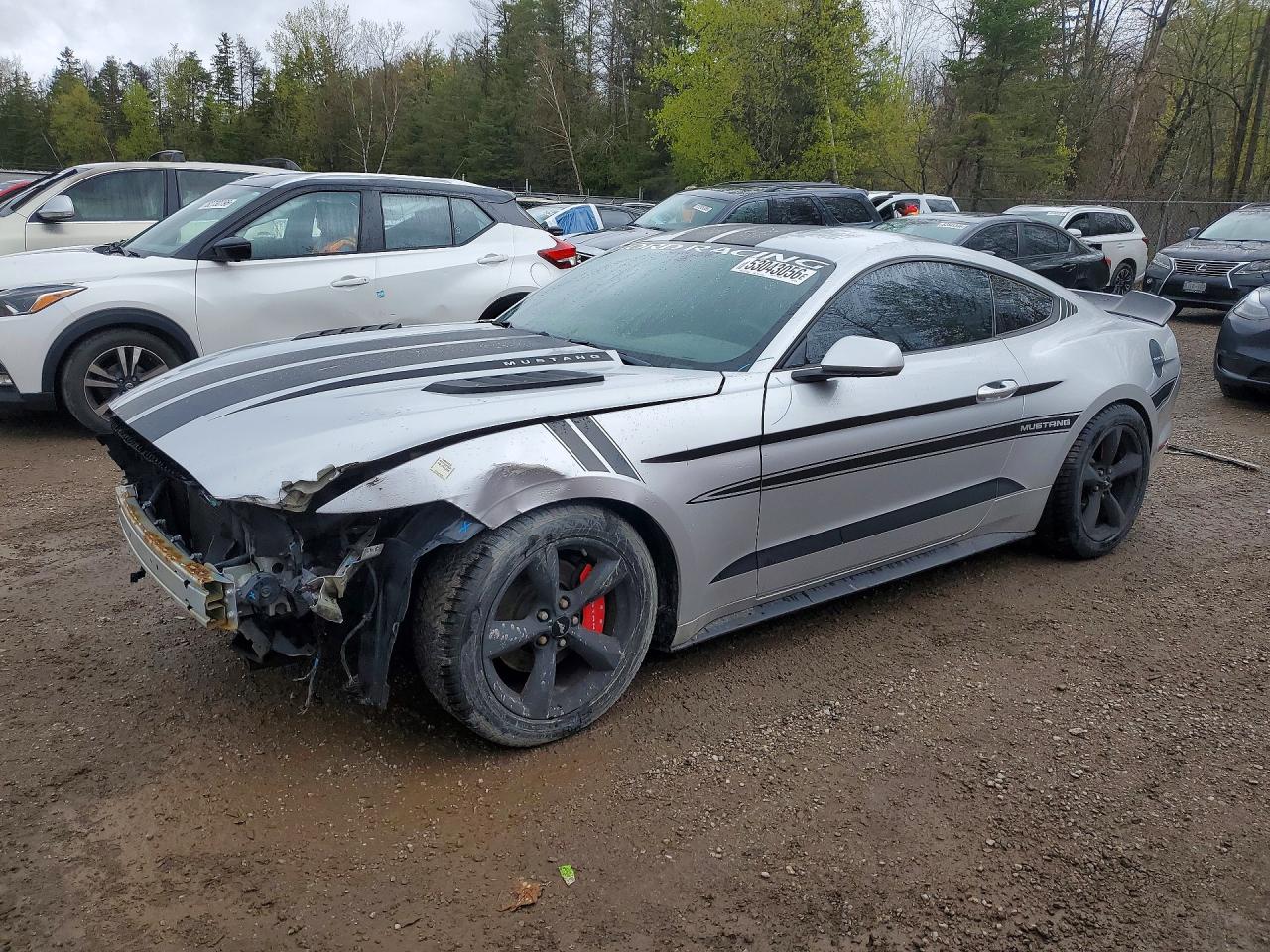 2016 Ford Mustang V6, VIN 1FA6P8AMXG5324940 — Front end
