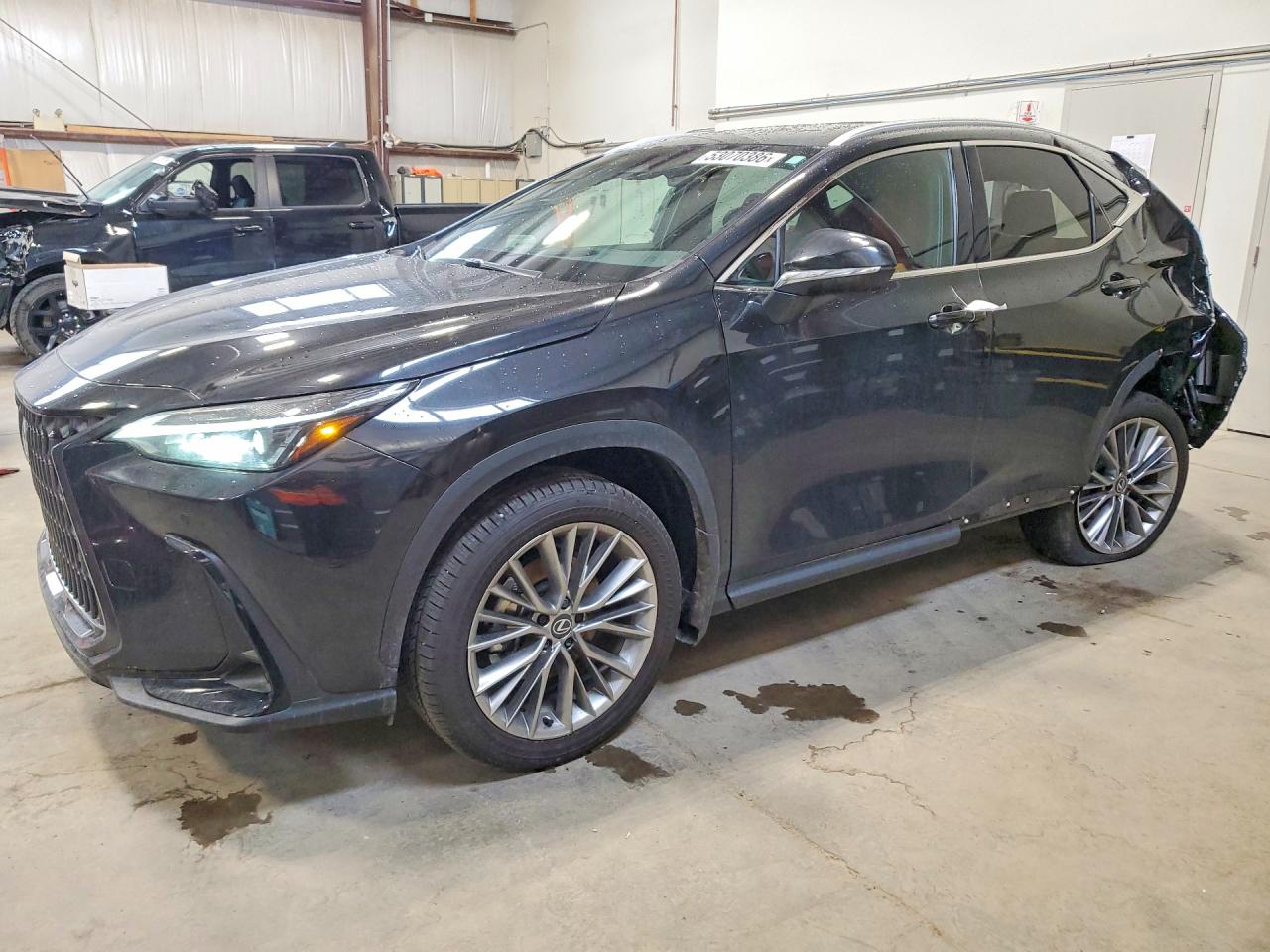 2026 Lexus NX 350h Premium, VIN 2T2GKCEZ3TC066792 — Зад