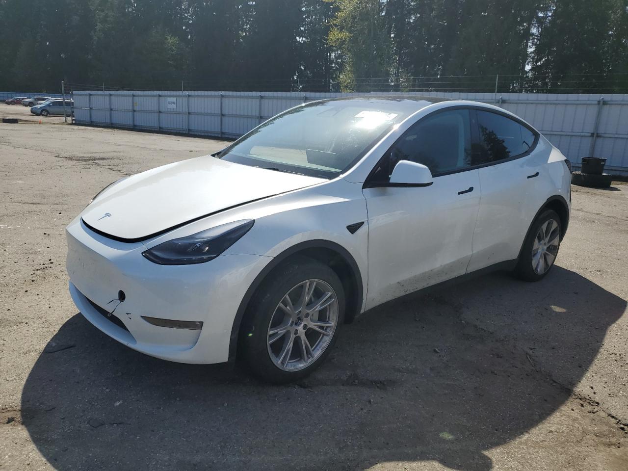 2023 Tesla Model Y Long Range, VIN 7SAYGDEE4PF757685 — Partial repair