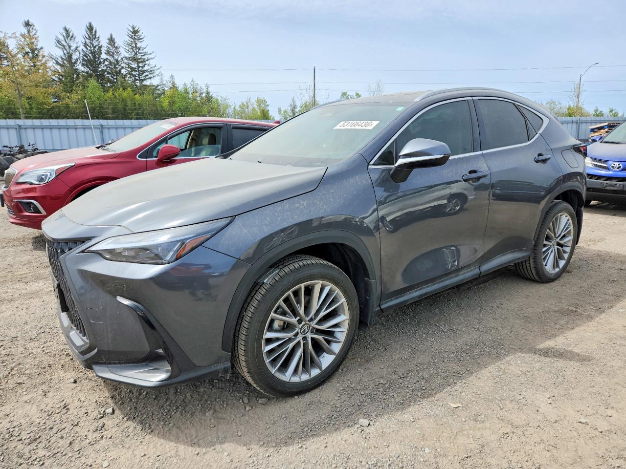 2026 Lexus NX 350 Premium, VIN 2T2GGCEZ8TC096887 — Бок