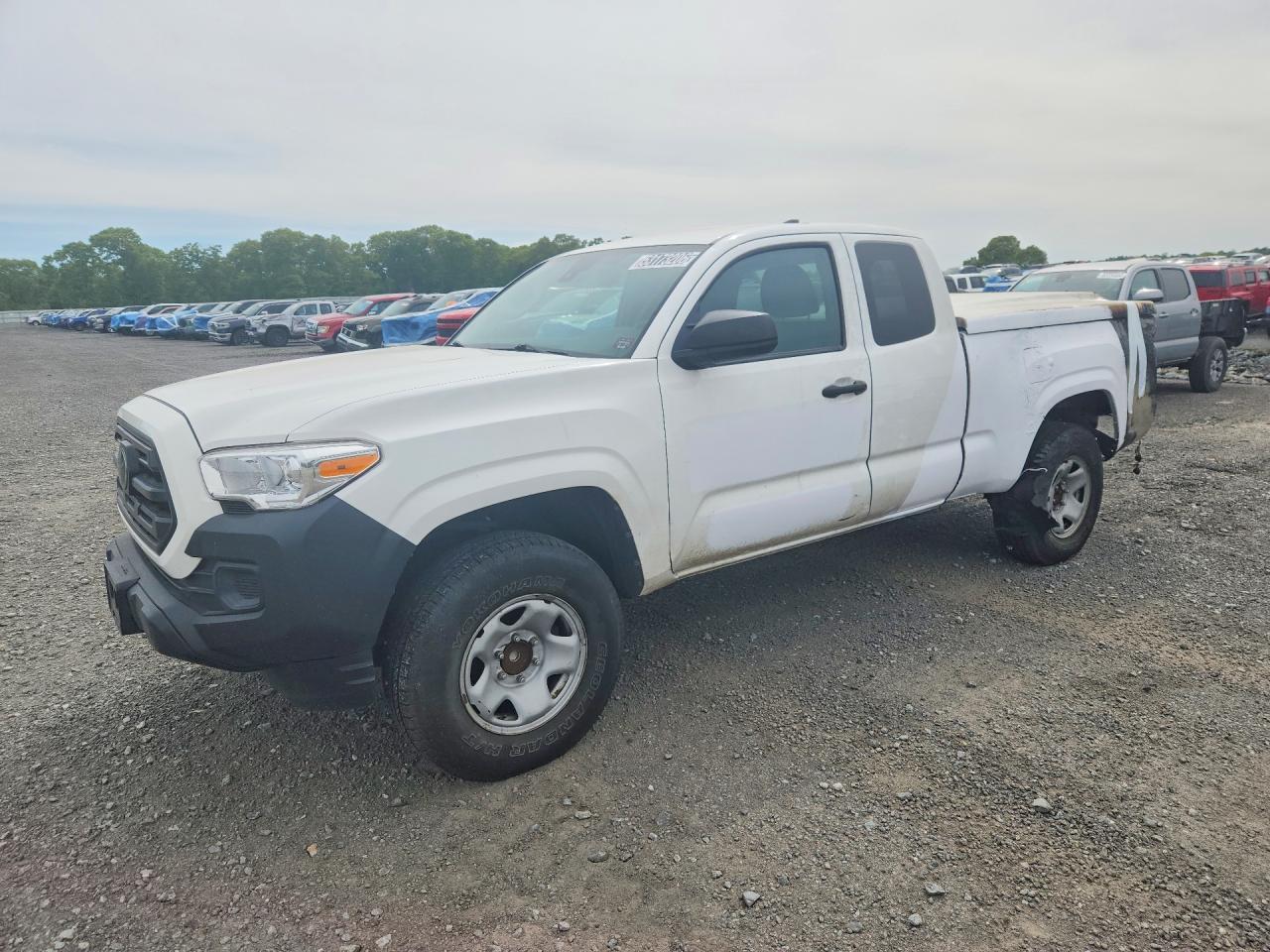 2019 Toyota Tacoma SR, VIN 5TFRX5GN6KX162078 — Burn