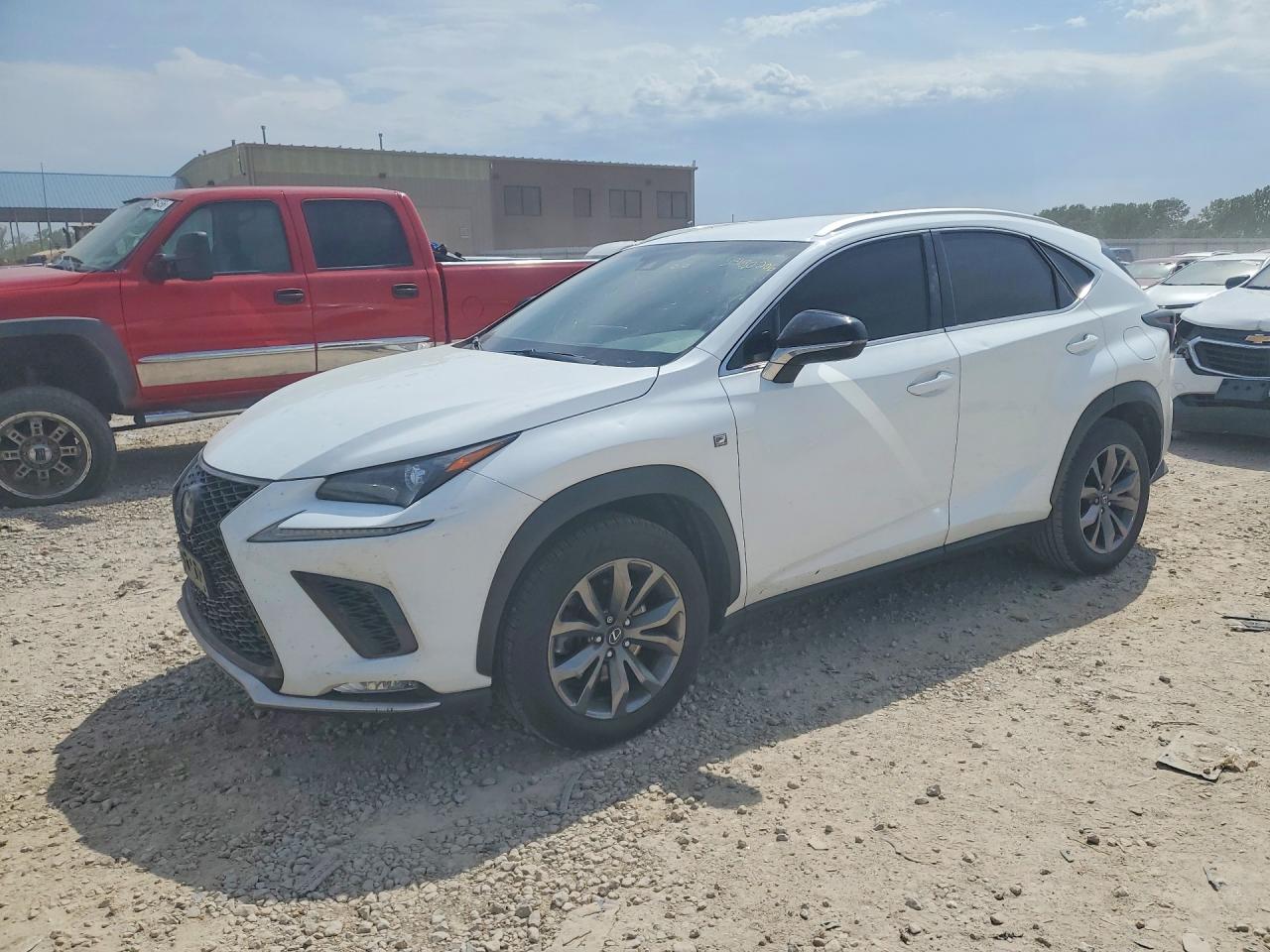 2018 Lexus NX 300, VIN JTJYARBZ5J2096307 — Hail