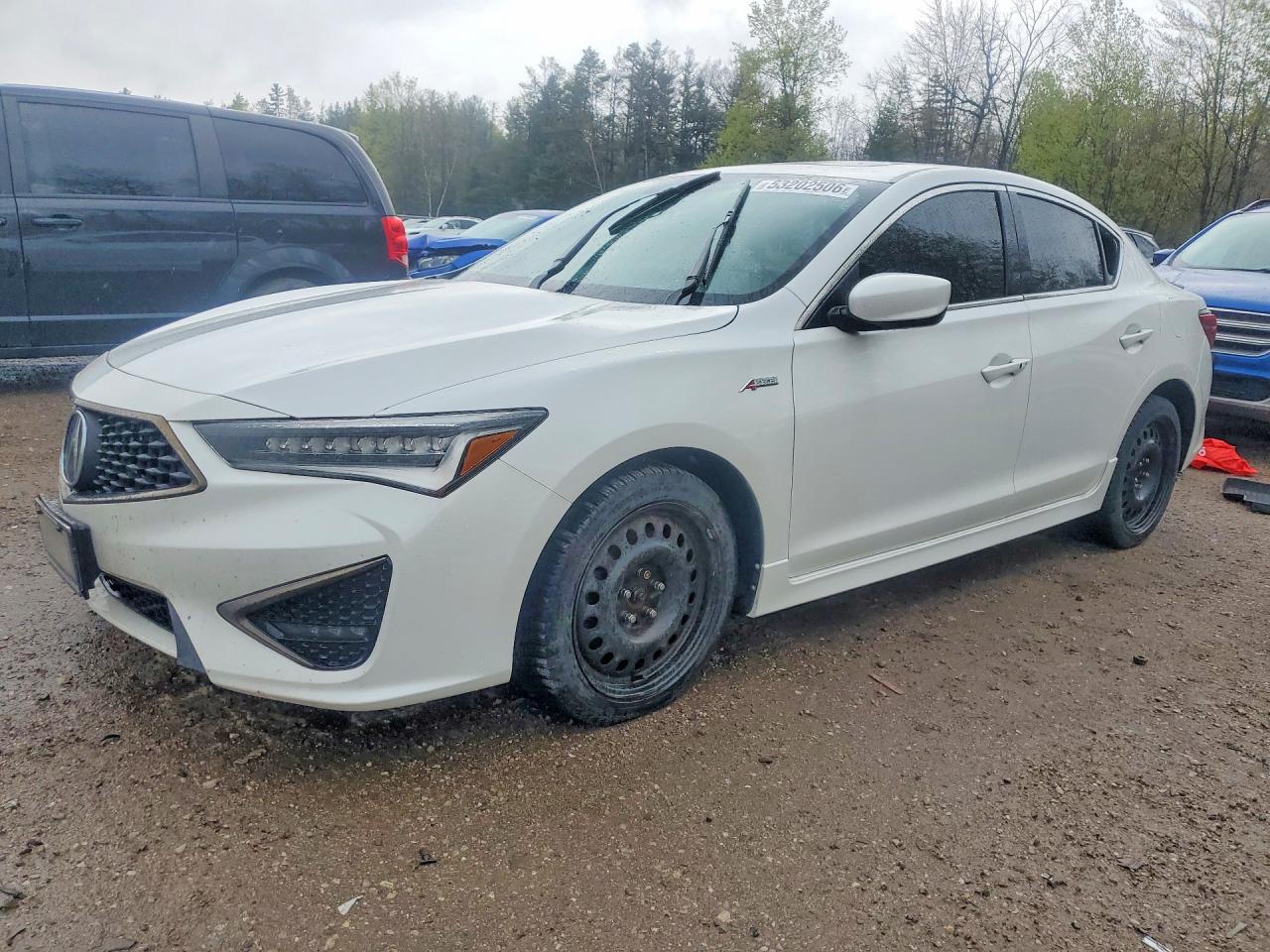 2019 Acura ILX Premium, VIN 19UDE2F87KA800160 — Vandalism