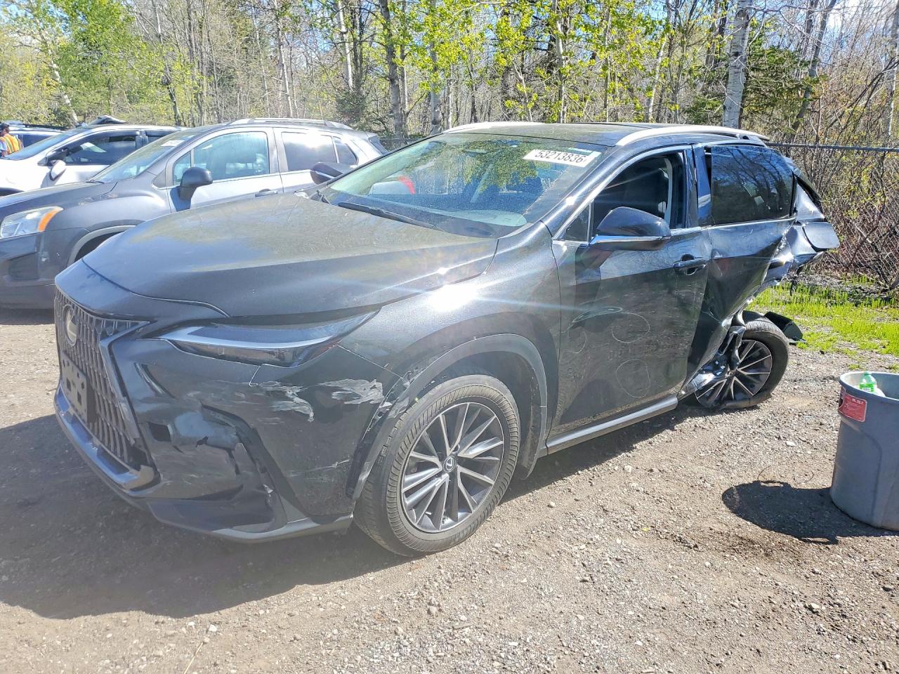 2024 Lexus NX 350h Premium, VIN 2T2GKCEZ4RC018212 — Бок