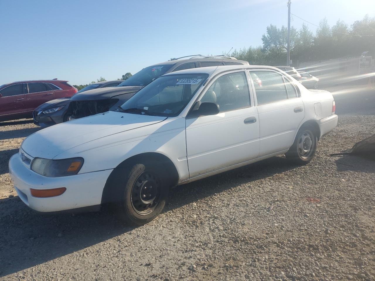 1996 Toyota Corolla, VIN 1NXBA02E7TZ361426 — Side