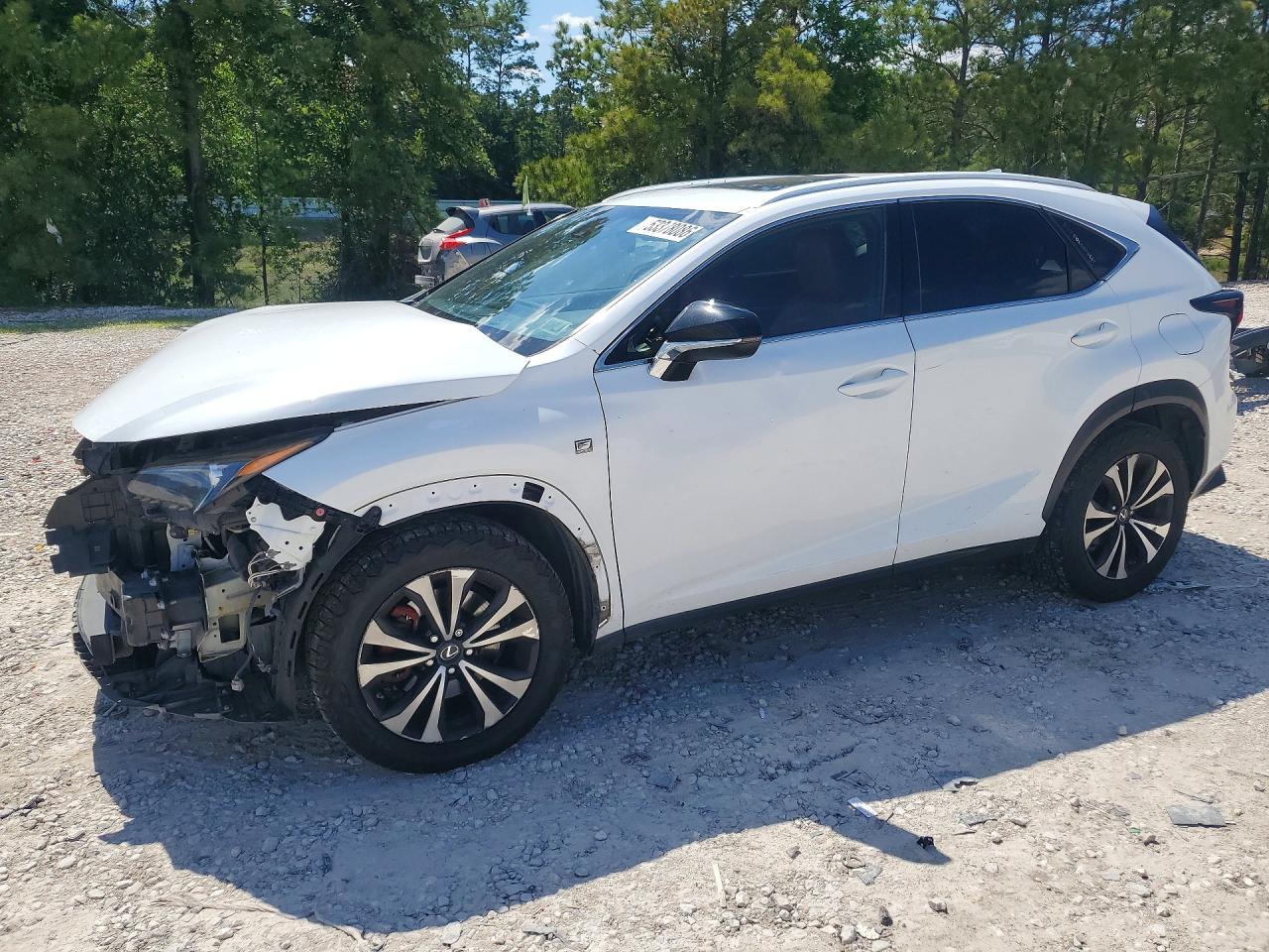 2018 Lexus NX 300 F Sport, VIN JTJBARBZ9J2169880 — Front end