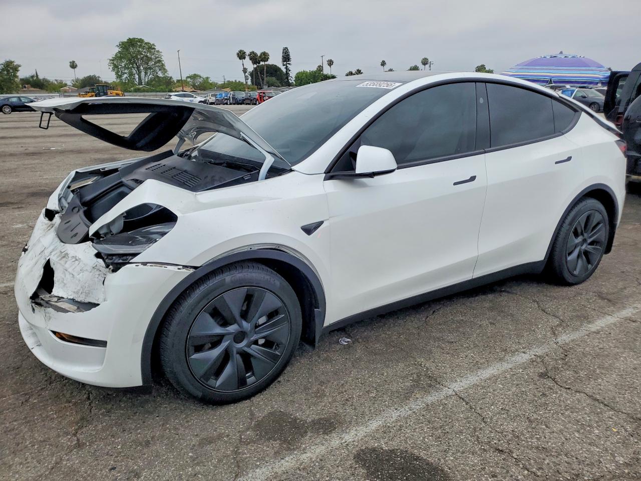 2024 Tesla Model Y, VIN 7SAYGDED4RF204478 — Front end