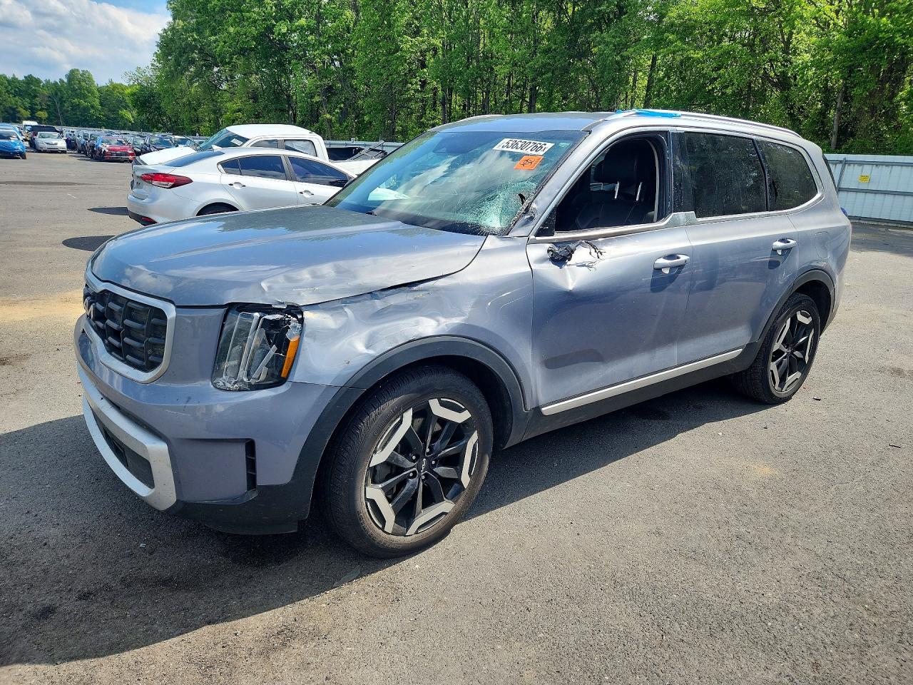2024 Kia Telluride S, VIN 5XYP6DGC6RG502698 — Перед