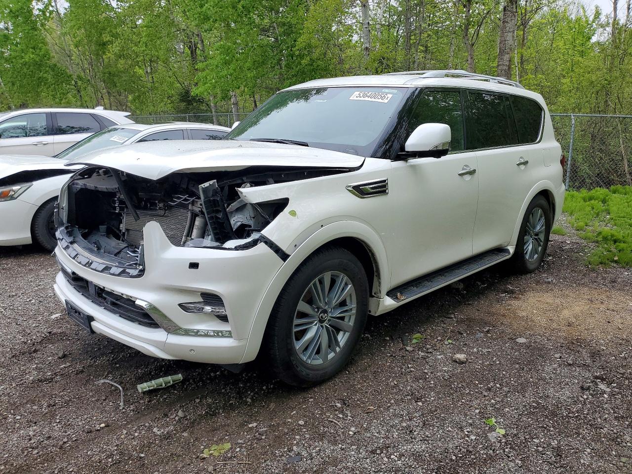 2024 Infiniti QX80 Premium Select, VIN JN8AZ2AE5R9329628 — Front end
