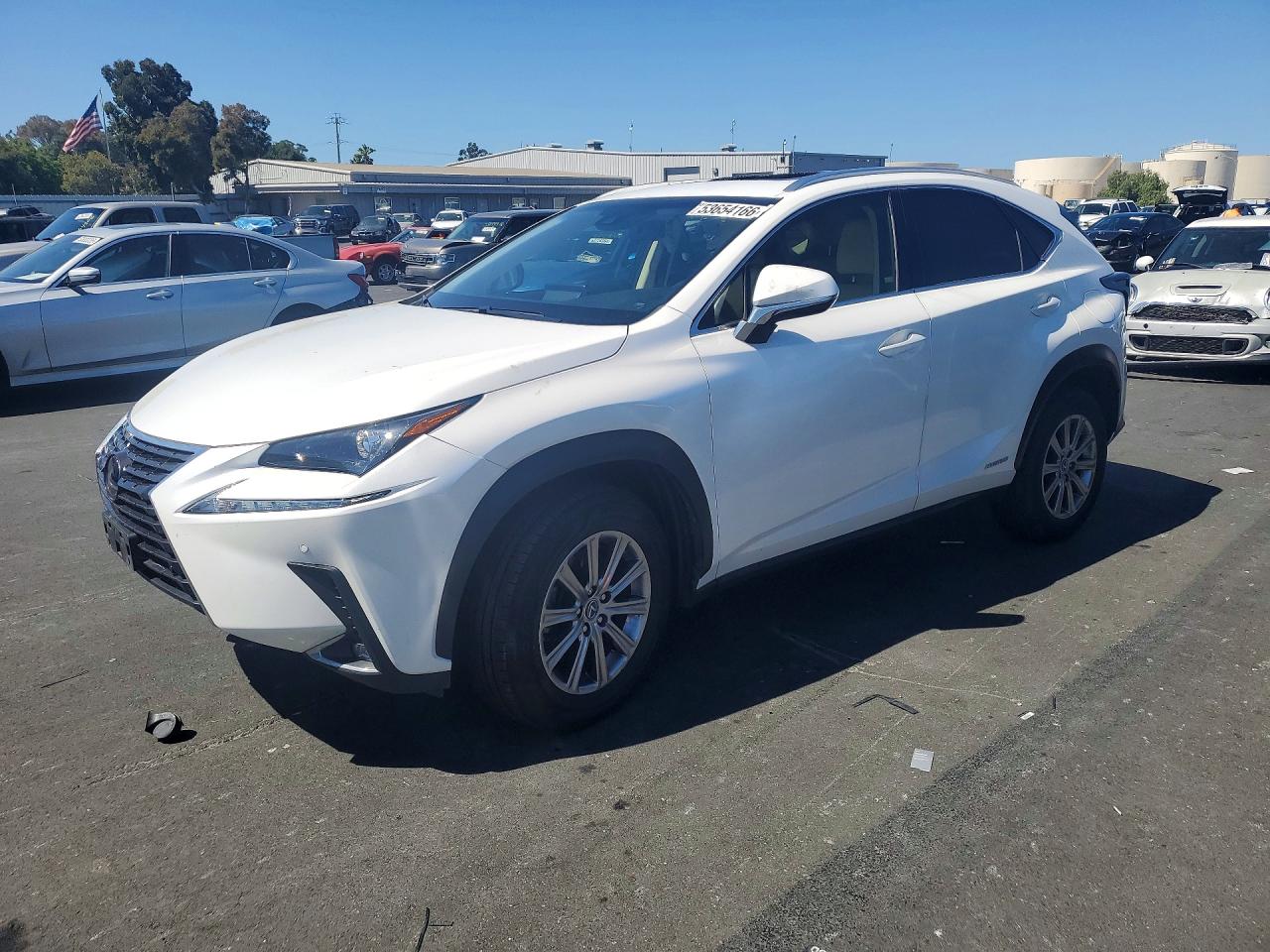 2018 Lexus NX 300h, VIN JTJBJRBZ4J2085059 — Vandalism