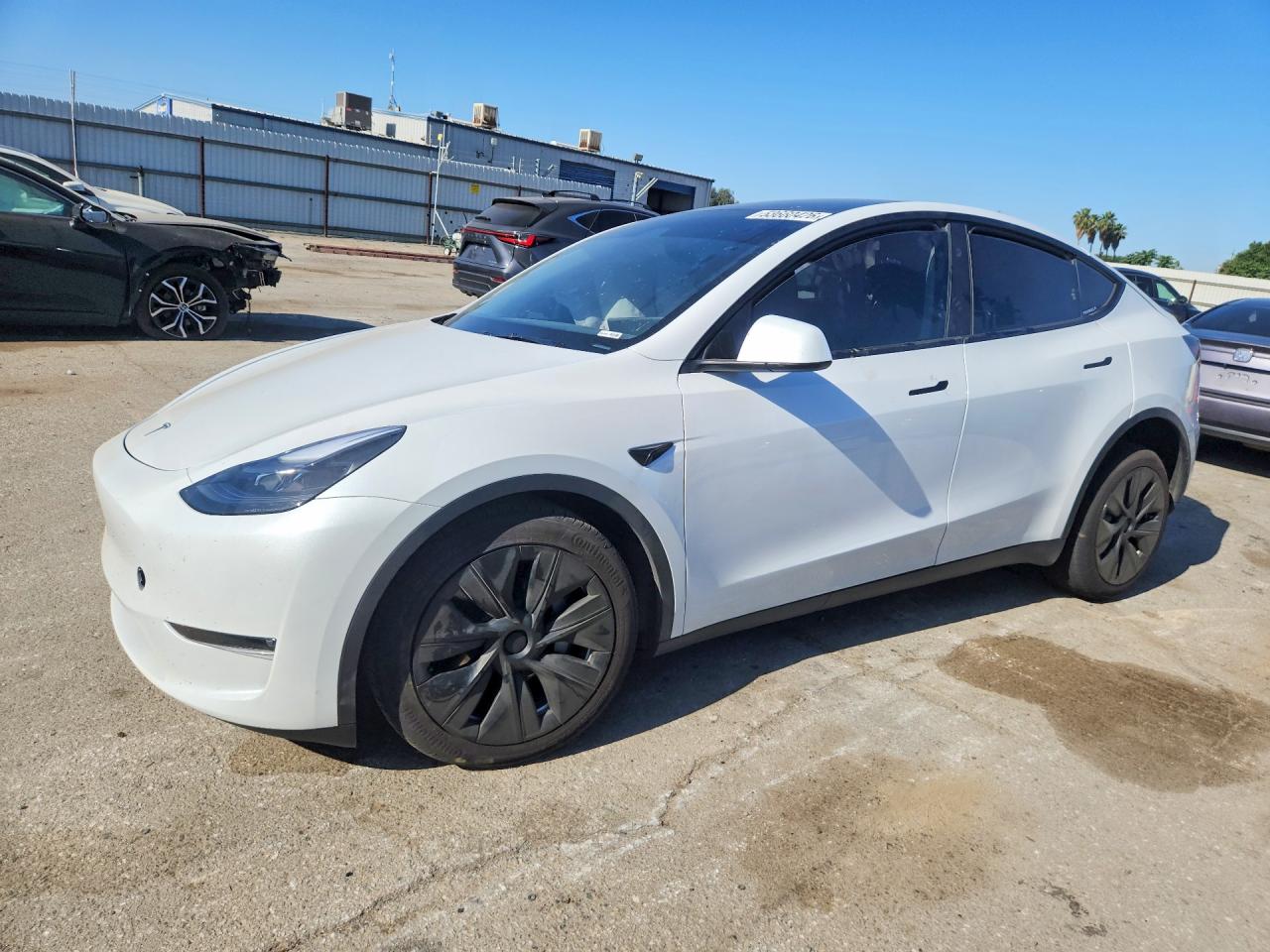2024 Tesla Model Y Long Range, VIN 7SAYGDEE5RF077846 — Side