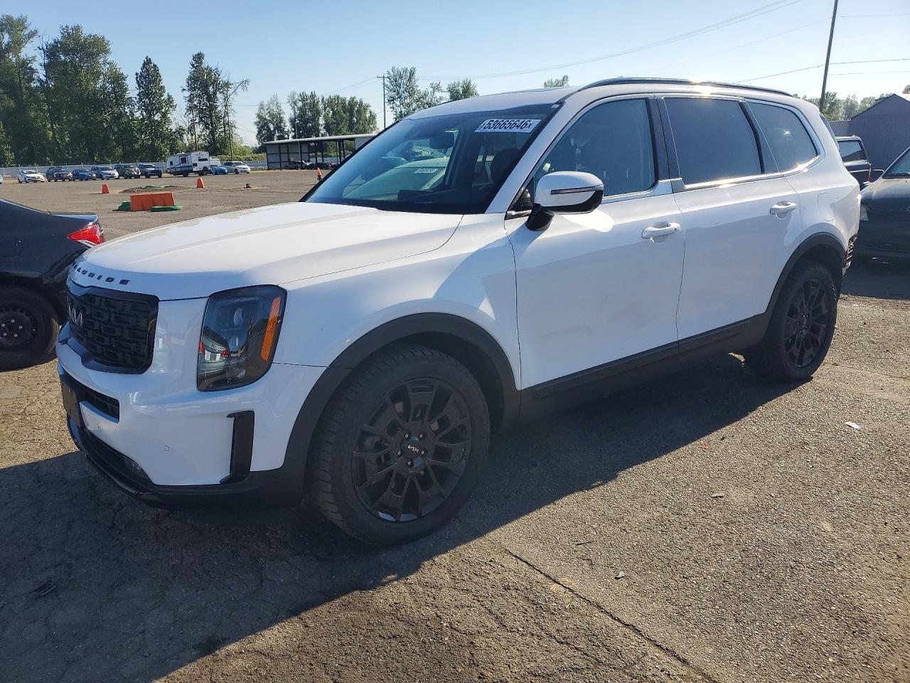 2022 Kia Telluride SX, VIN 5XYP5DHC6NG262824 — Side