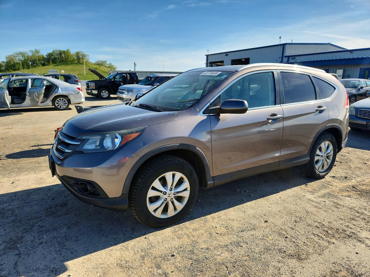 2014 Honda CR-V EX-L, VIN 5J6RM4H72EL017631 — Мелкие вмятины и царапины