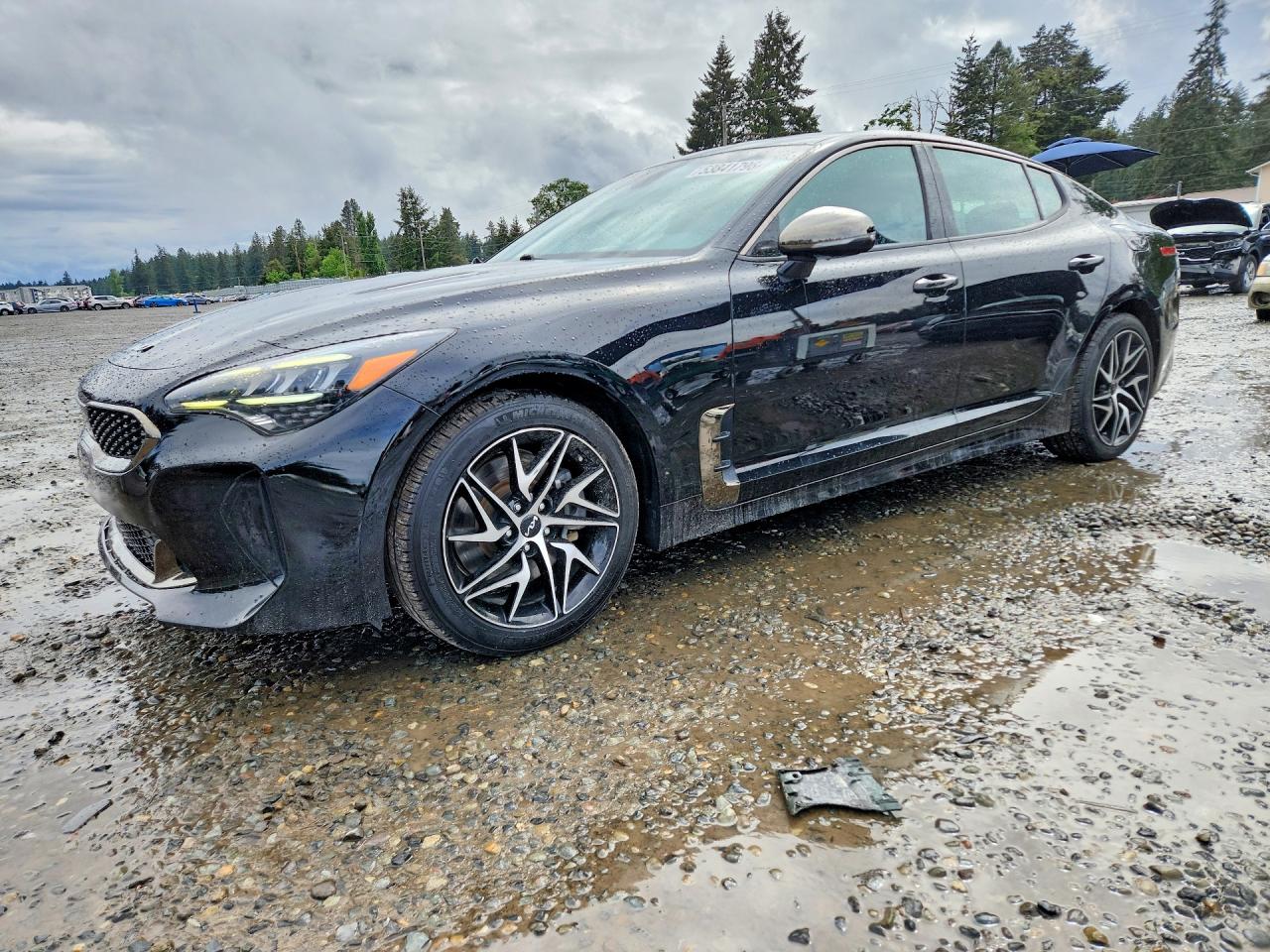 2022 Kia Stinger GT-Line, VIN KNAE35LD7N6103782 — Side