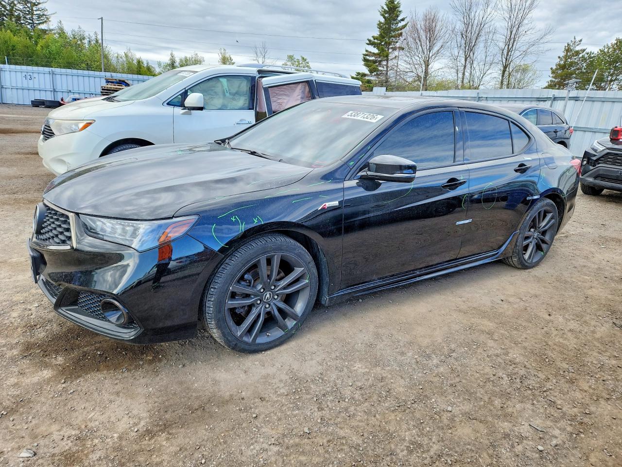 2020 Acura TLX w/A-Spec Pkg, VIN 19UUB3F60LA802413 — Vandalism
