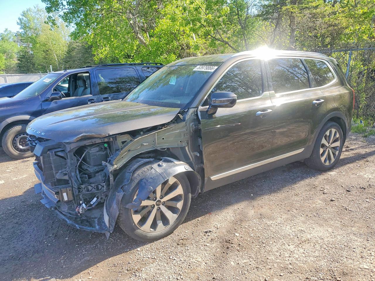 2020 Kia Telluride SX, VIN 5XYP5DHC0LG026652 — Frame damage