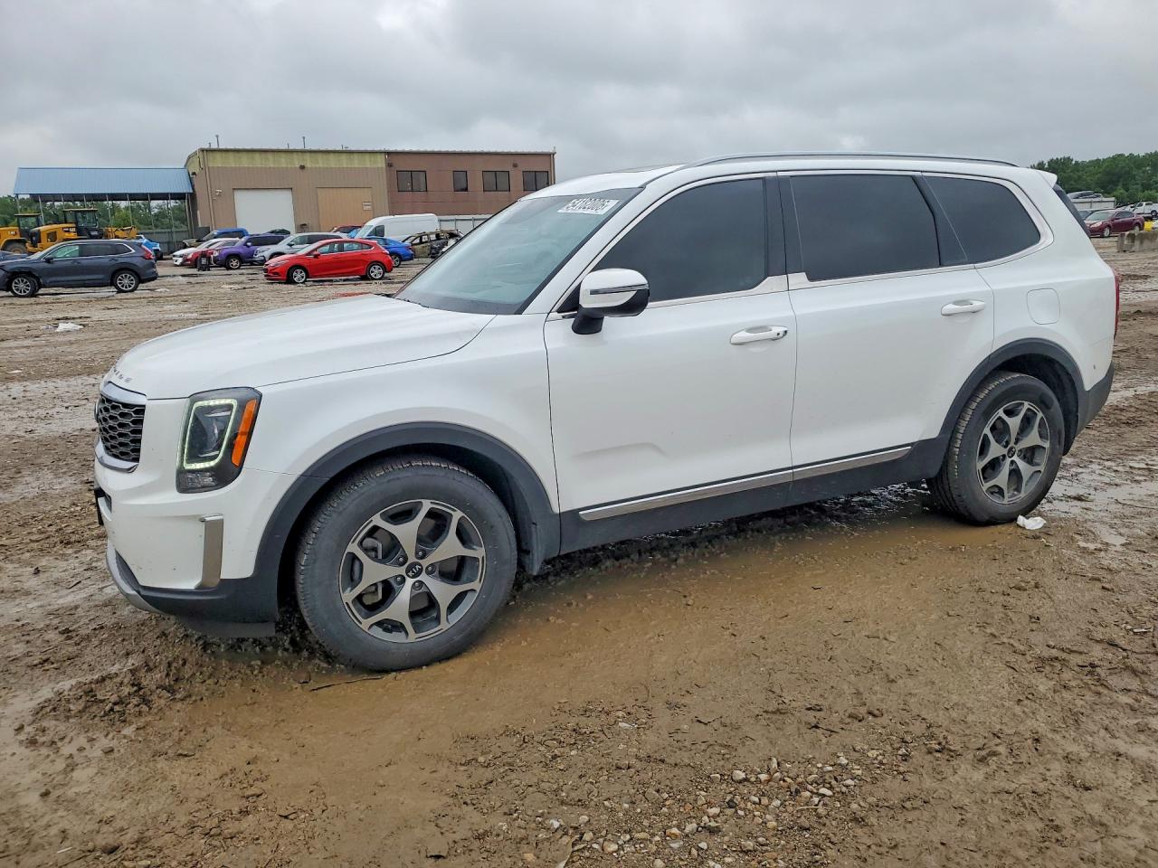 2020 Kia Telluride EX, VIN 5XYP3DHC8LG076950 — Hail