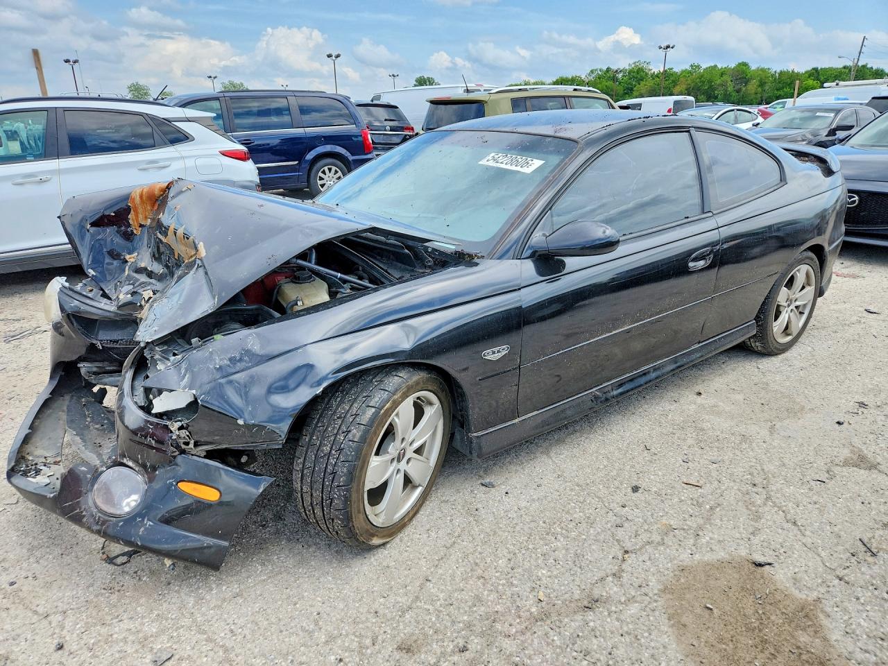 2004 Pontiac GTO, VIN 6G2VX12G64L225231 — Front end