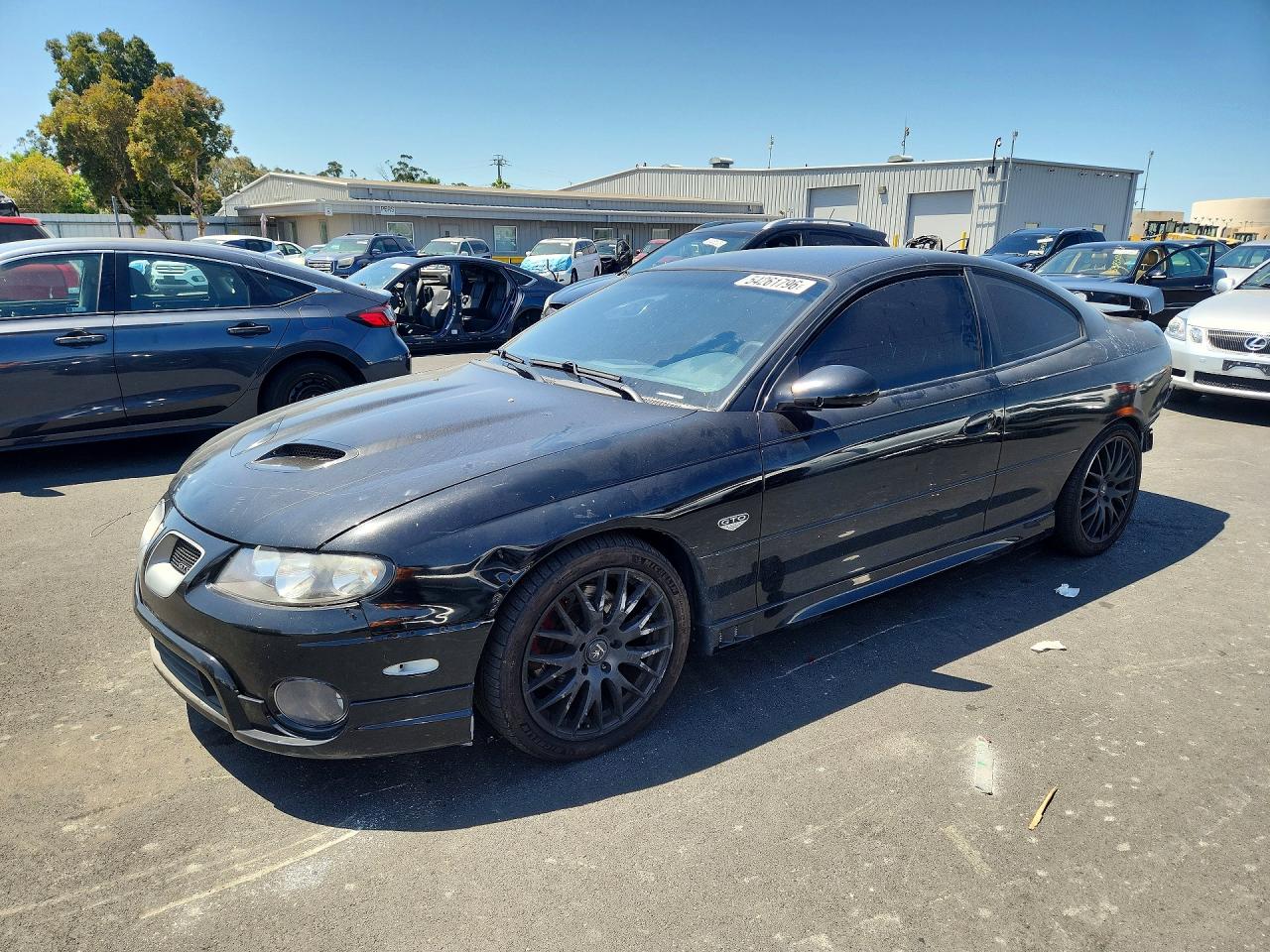 2005 Pontiac GTO, VIN 6G2VX12U05L354489 — Rear end