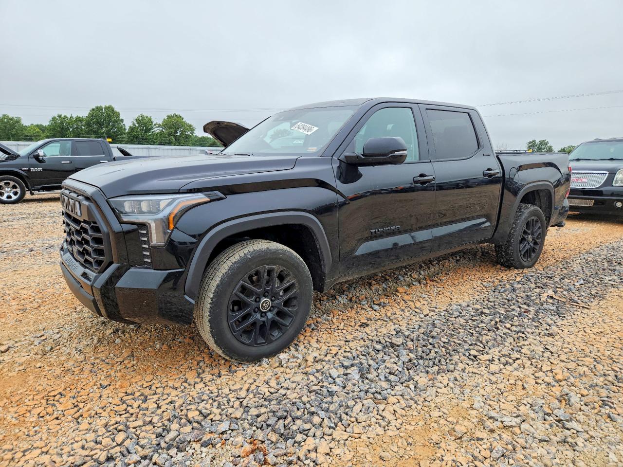 2024 Toyota Tundra Platinum Hybrid, VIN 5TFWC5DB7RX045130 — Hail