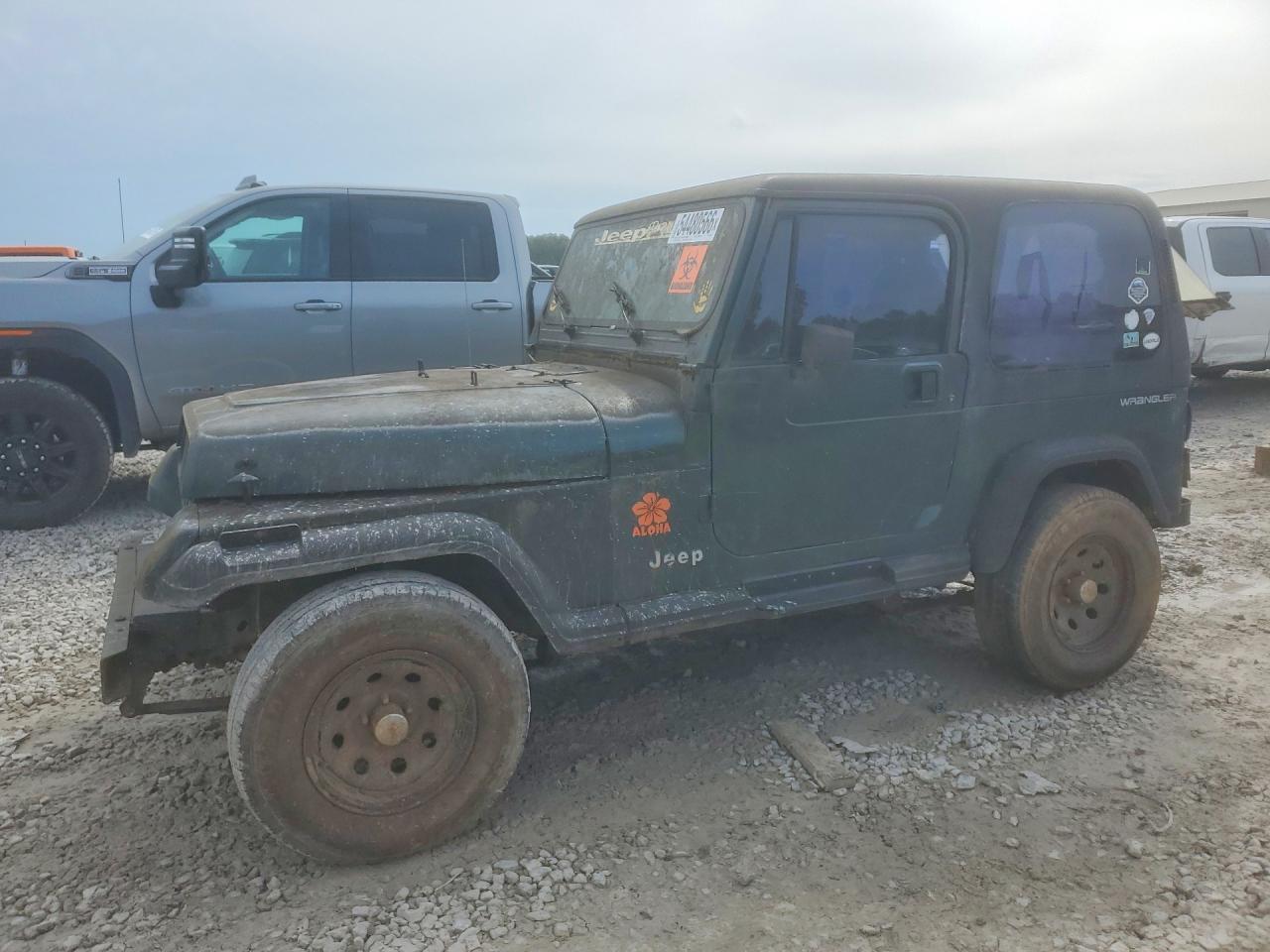 1993 Jeep Wrangler, VIN 1J4FY29S0PP208250 — Water / flood