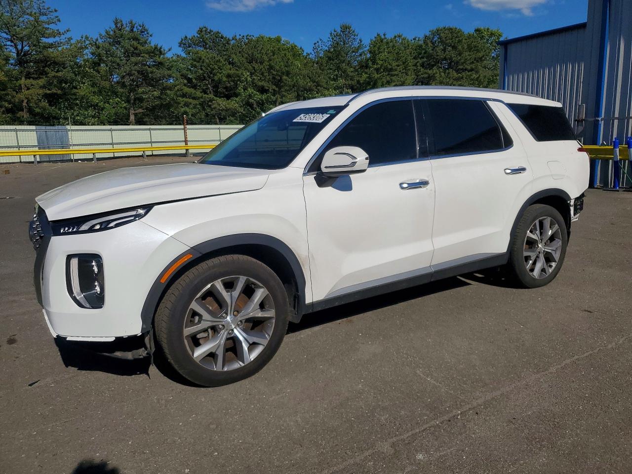 2022 Hyundai Palisade SEL, VIN KM8R3DHE4NU360857 — All over