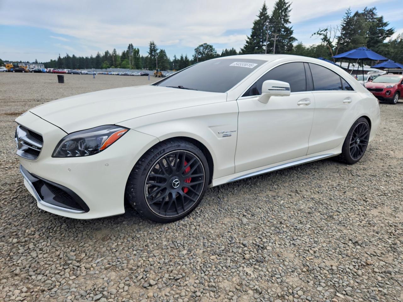 2015 Mercedes-Benz CLS 63 S AMG, VIN WDDLJ7GB3FA136657 — Side