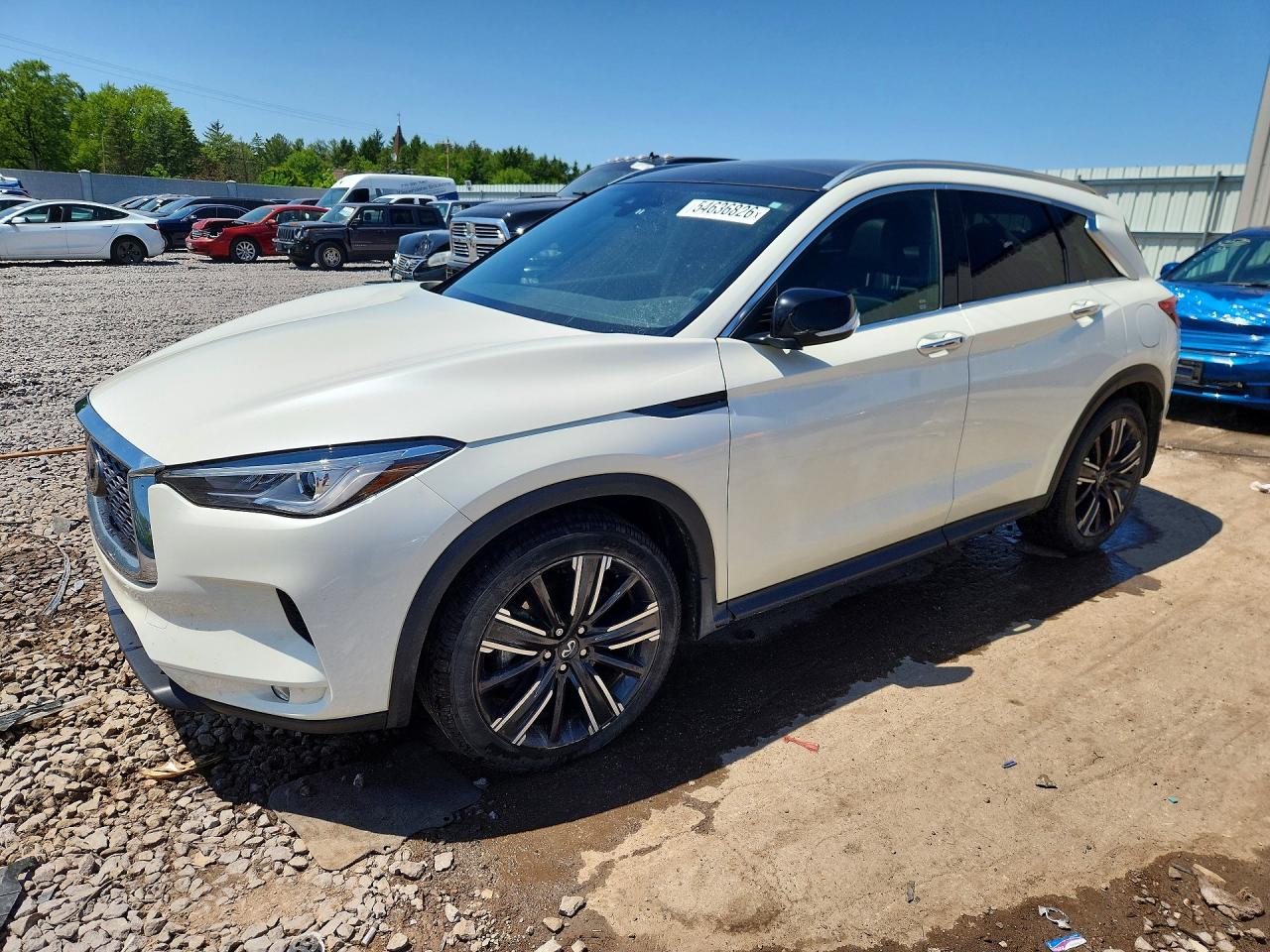2021 Infiniti QX50 Luxe, VIN 3PCAJ5BB6MF117215 — Water / flood