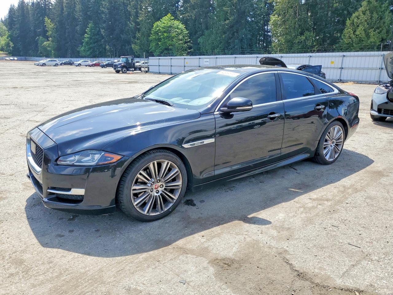 2016 Jaguar XJ R-Sport, VIN SAJWJ1CD7G8W00474 — Мелкие вмятины и царапины