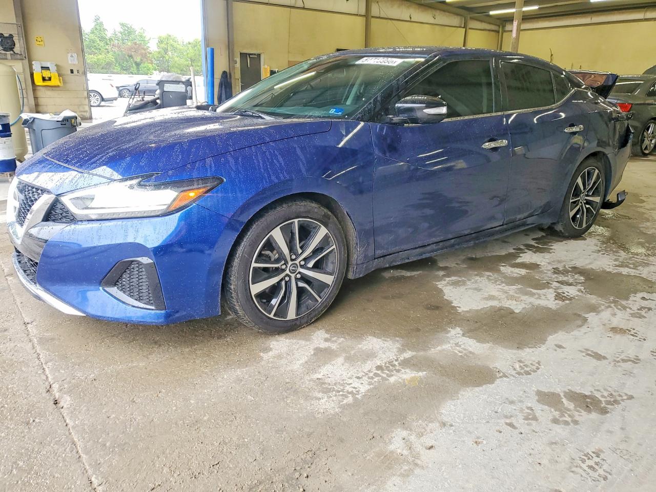 2023 Nissan Maxima SV, VIN 1N4AA6CV8PC510509 — Зад