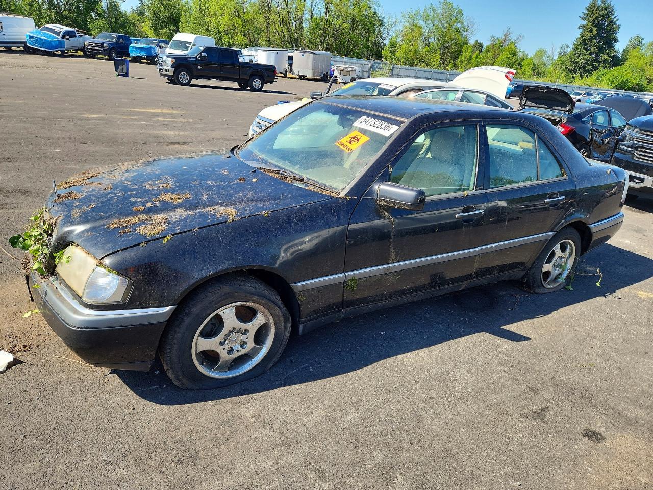 1995 Mercedes-Benz C 2.8L, VIN WDBHA28E8SF256722 — Front end