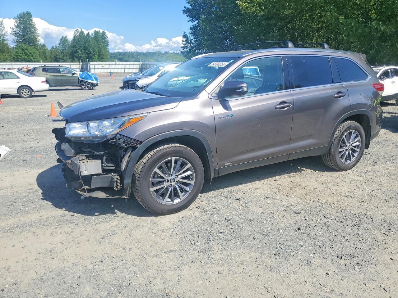 2019 Toyota Highlander Hybrid XLE, VIN 5TDJGRFH7KS053778 — Side