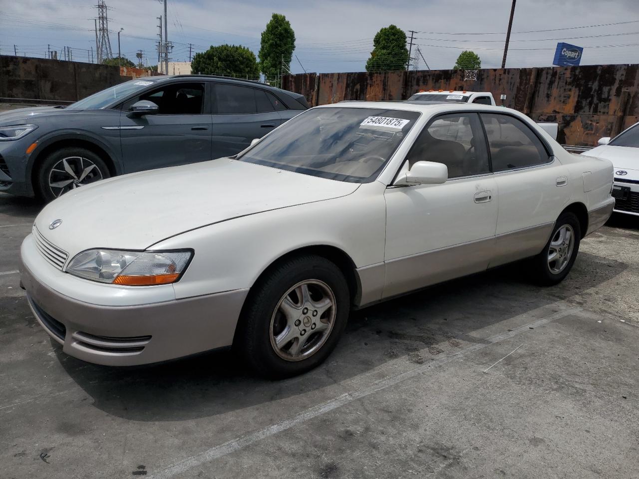 1993 Lexus ES 300, VIN JT8VK13T1P0216976 — По всему кузову
